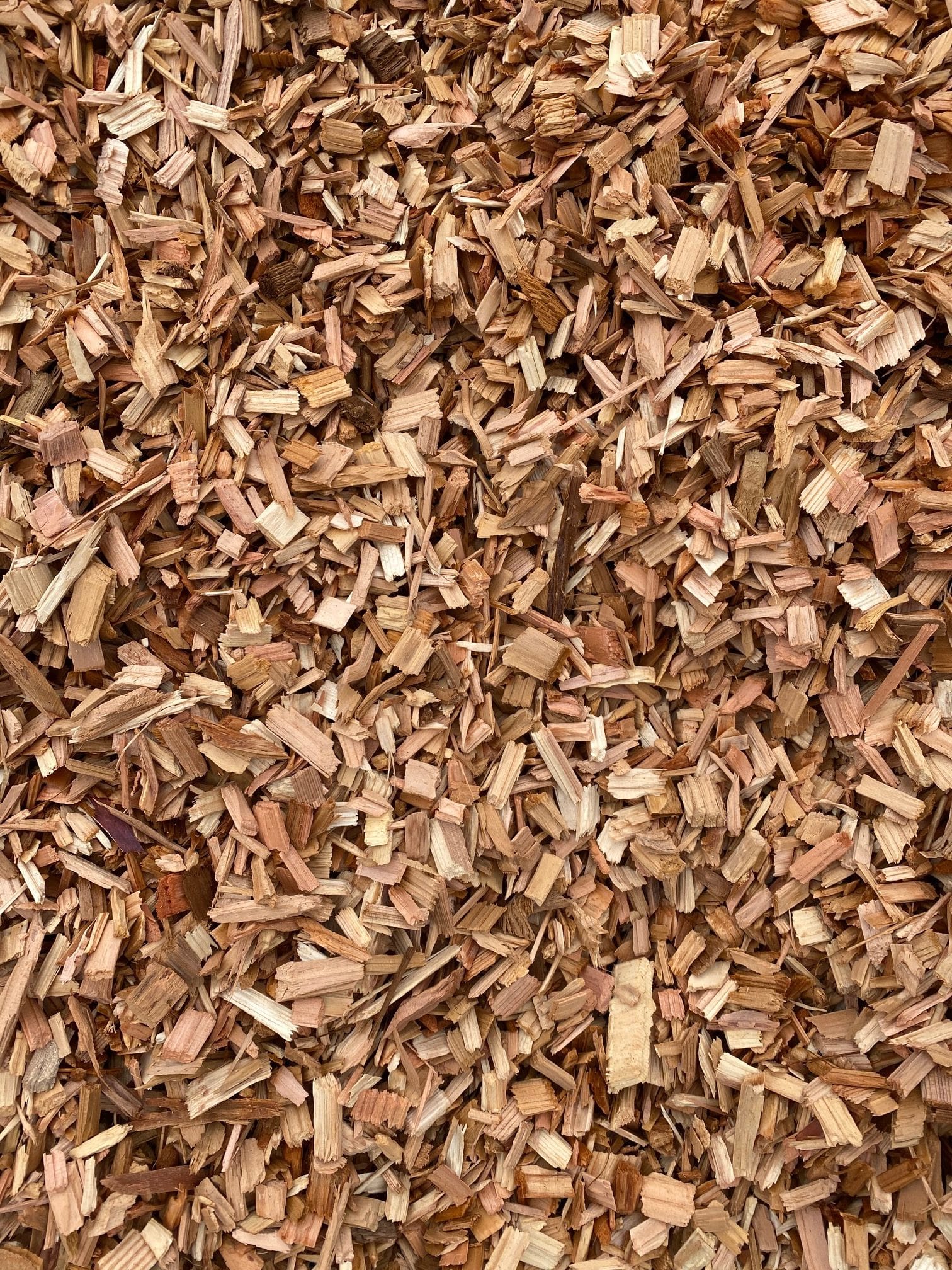 Playground Chips