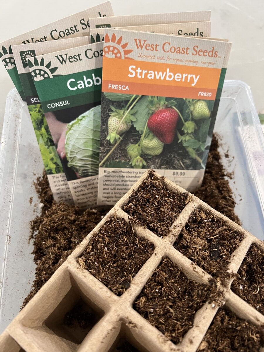 West Coast Seeds - Image 2