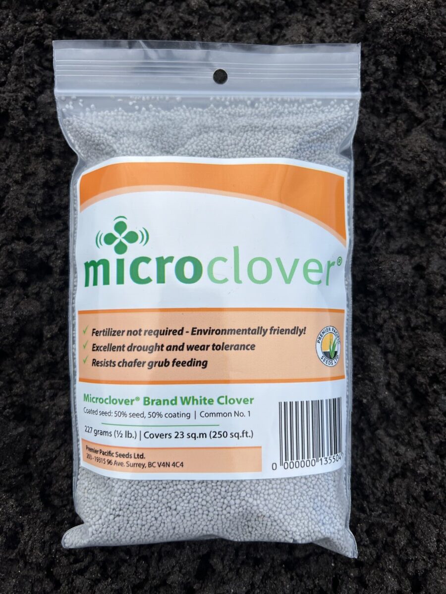 Microclover Seed