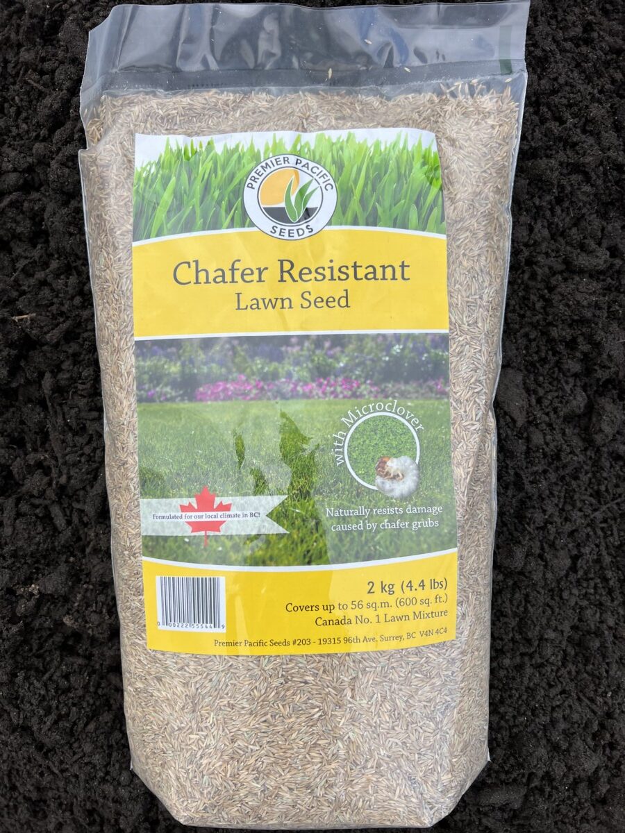 Chafer Resistant Grass Seed