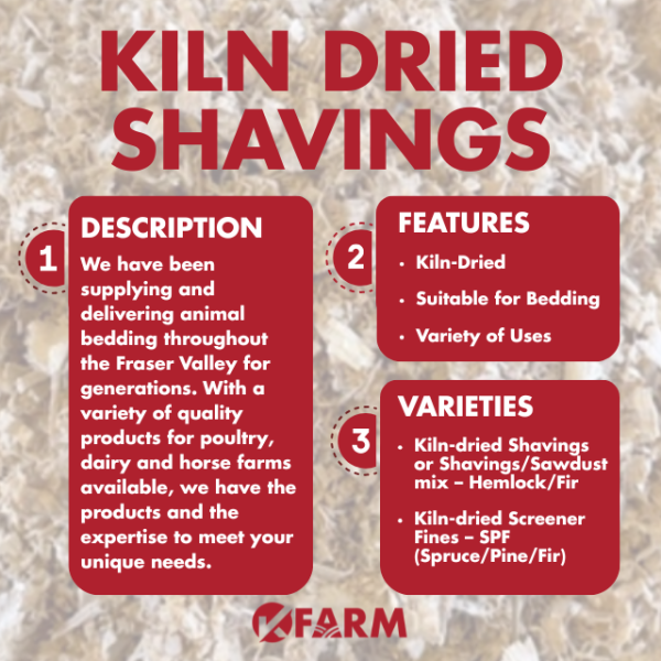 Shavings - Kiln Dried - Image 2