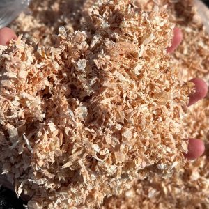 Shavings - Kiln Dried