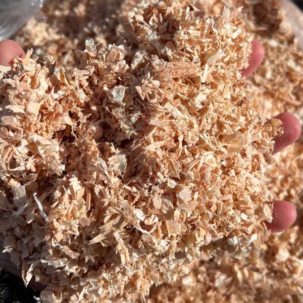 Shavings - Kiln Dried