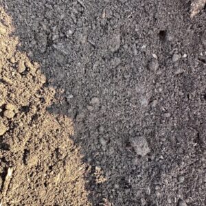 Black Peat Moss