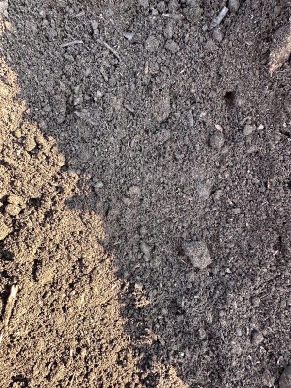 Black Peat Moss