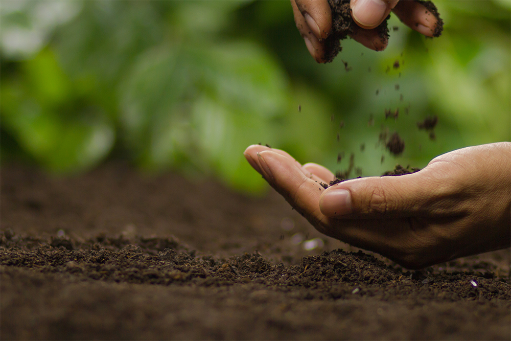 Compost & Amenders
