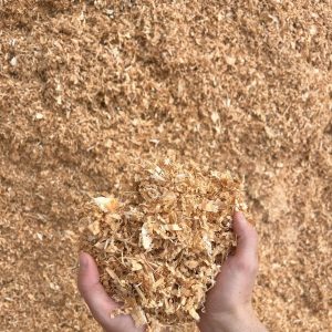 Shavings - Green