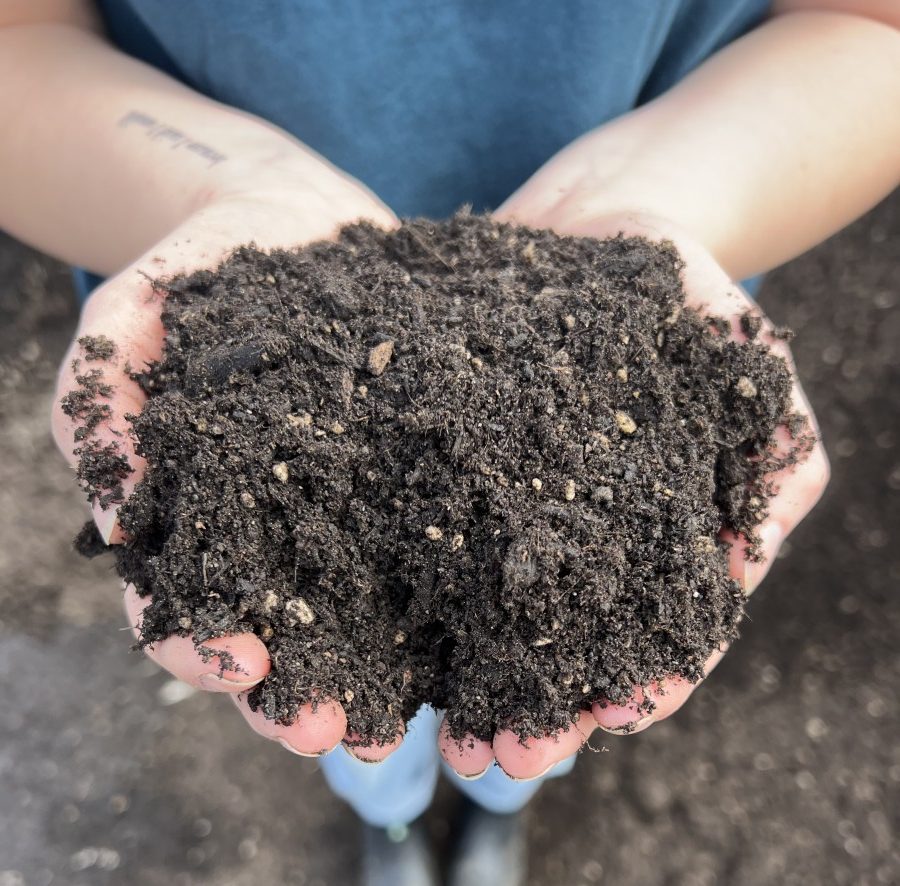 Soils