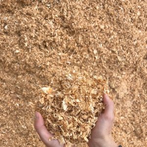 Shavings - Green