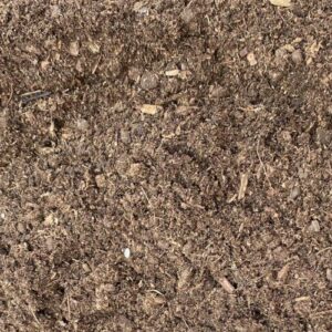 Peat Moss