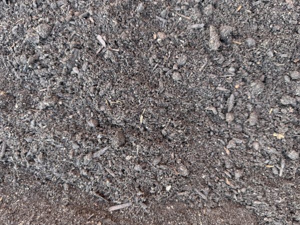 Interior Soil Blend