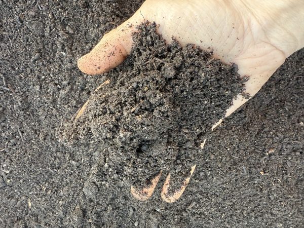 Interior Soil Blend - Image 2