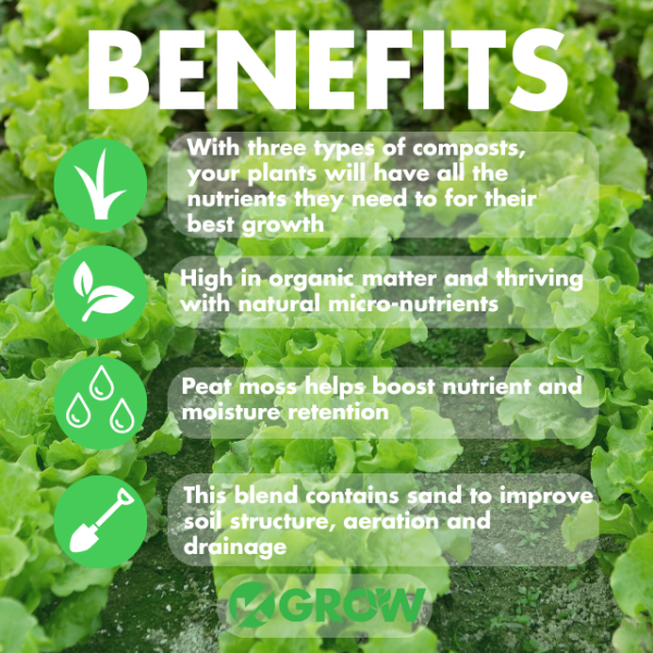 Garden Blend - Image 2
