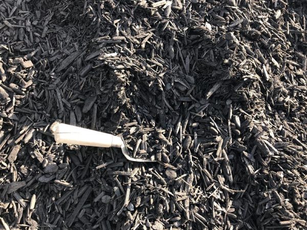 Black Mulch
