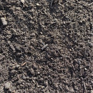 Peat Plus