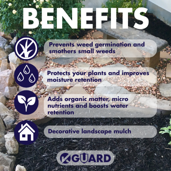 Black Mulch - Image 2