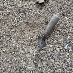 Chicken Manure